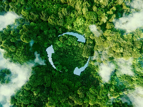 Abstract icon representing the ecological call to recycle and reuse in the form of a pond with a recycling symbol in the middle of a beautiful untouched jungle.